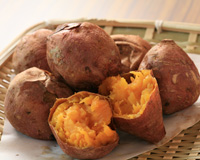 プラスワンマインドFC加盟