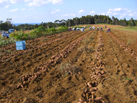 株式会社Todokeru　ロゴ