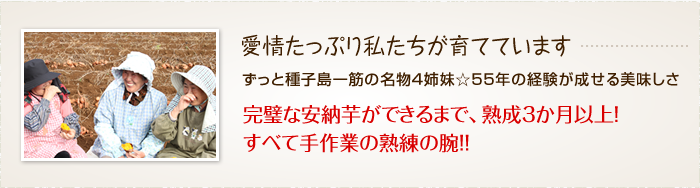 株式会社Todokeru　ロゴ